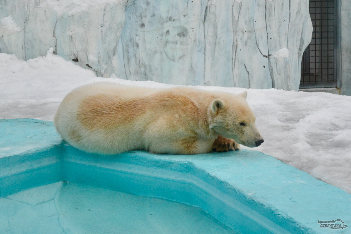    Фото: Галина Ниценкова © ИА «Уральский меридиан»