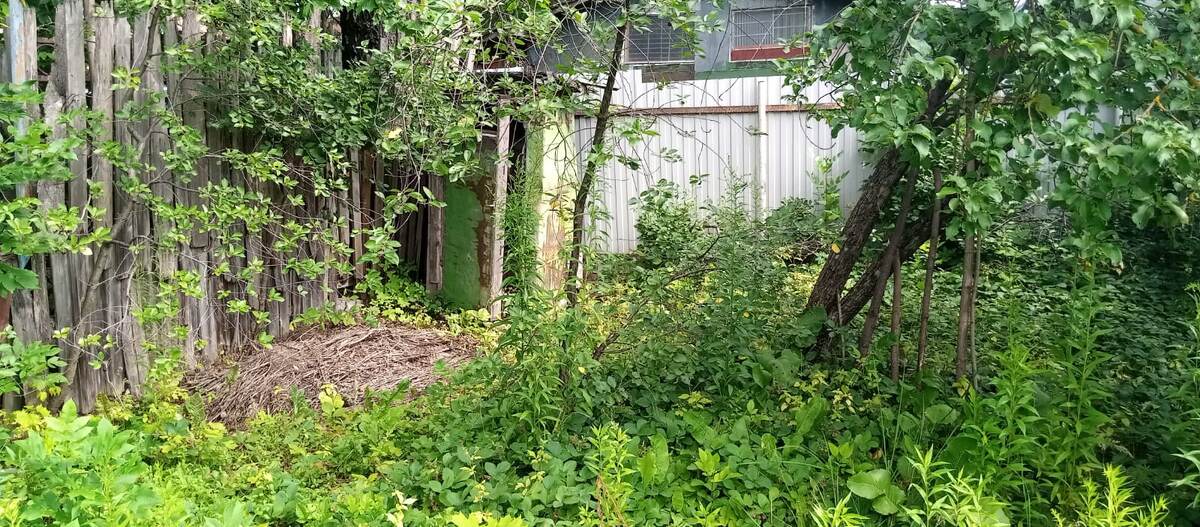 Начало работ. Еще стоит туалет и на переднем плане прошлогодняя компостная куча 🤭