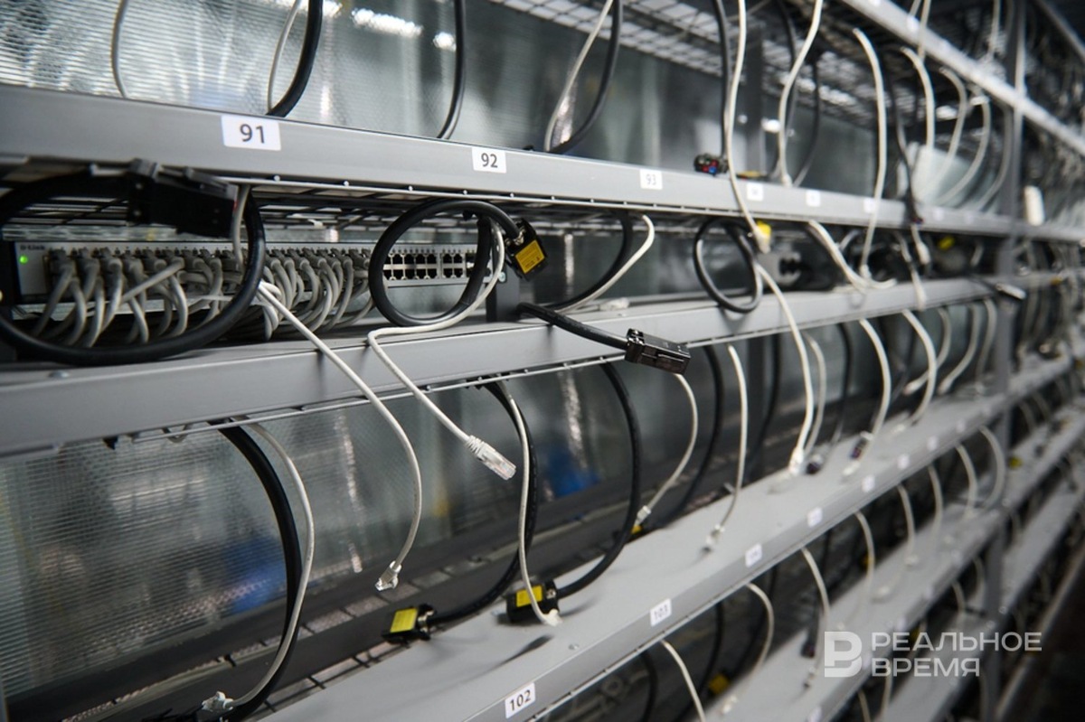   Динар Фатыхов / realnoevremya.ru