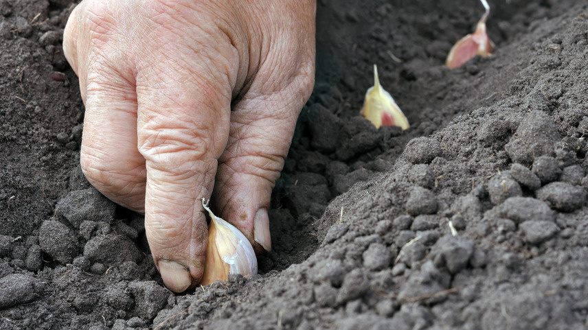 Правильная глубина посадки по улучшенной схеме