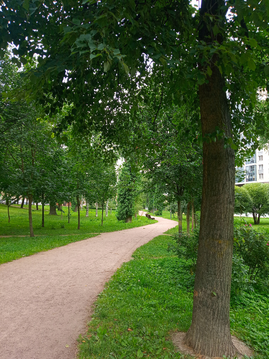 Сад Печатников, г. Санкт-Петербург. Фото автора