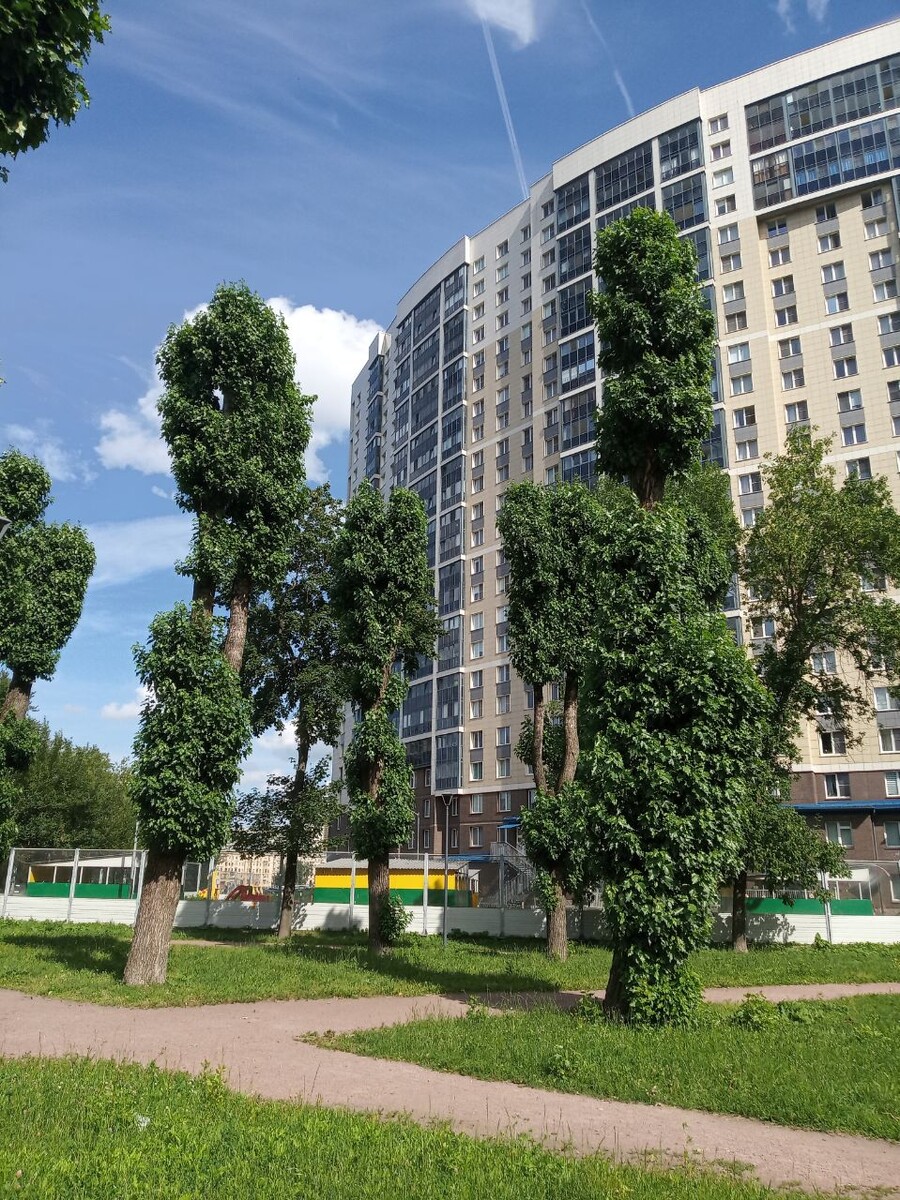 Сад Печатников, г. Санкт-Петербург. Фото автора