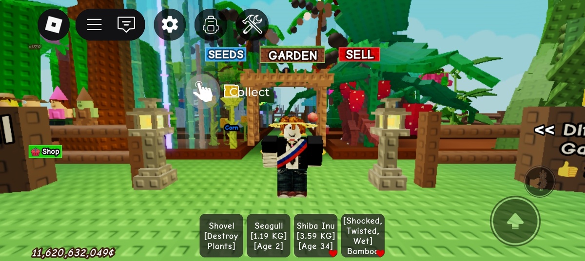 Высший патриотизм