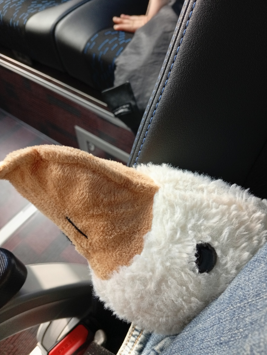 Вот этот птиц все это время был у Тани в сумке. 