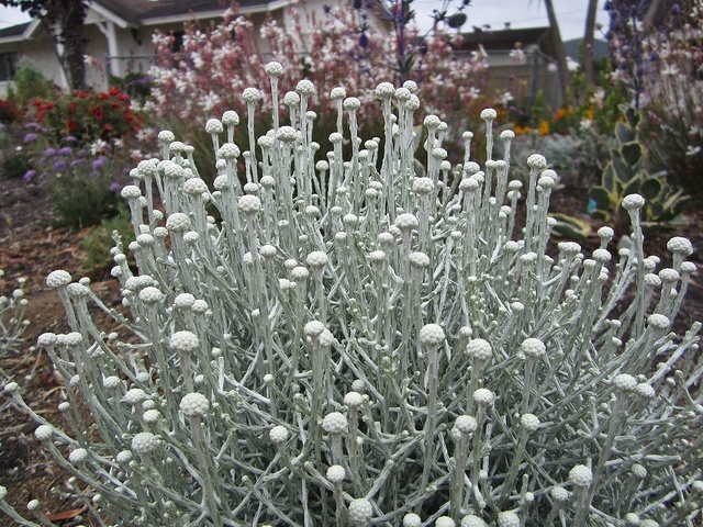 Фото из свободного доступа