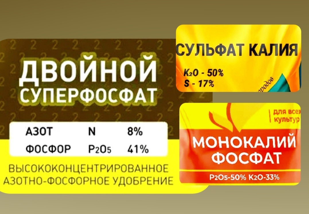 Фото автора. Коллаж названий  трех удобрений: двойной суперфосфат, сульфат калия, монокалий фосфат