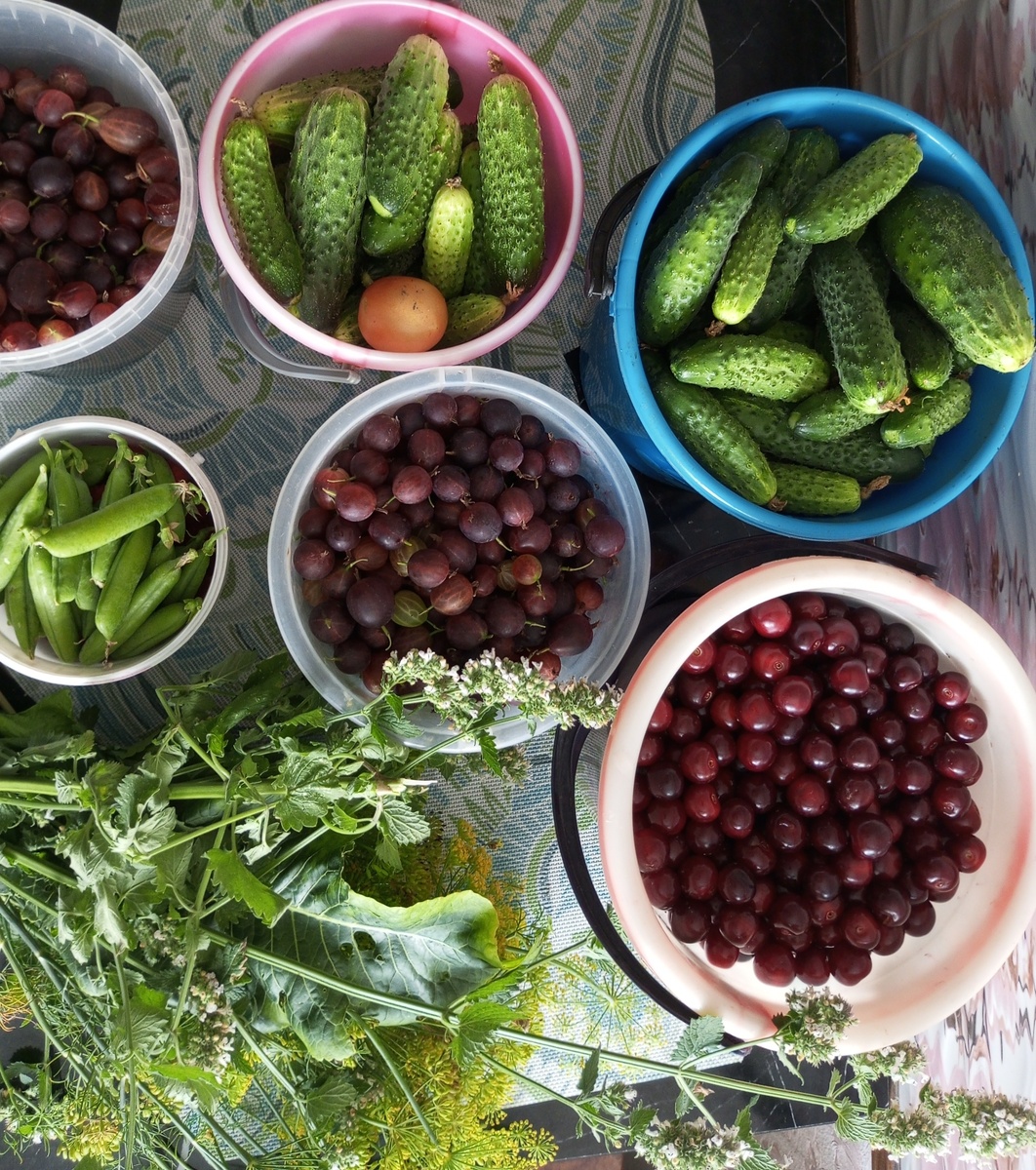 Работа в деревне никогда не заканчиватся. Фото автора.