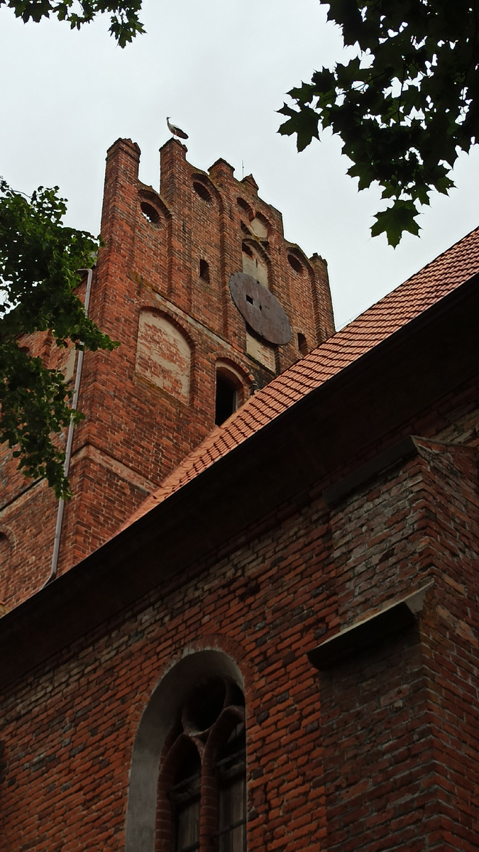 Кирха Святой Катарины. Фото автора, август 2025 год