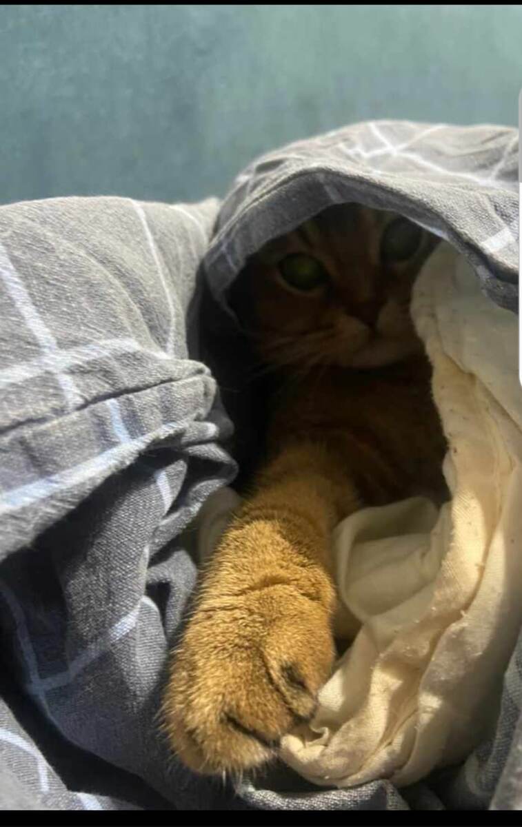 Из личного архива