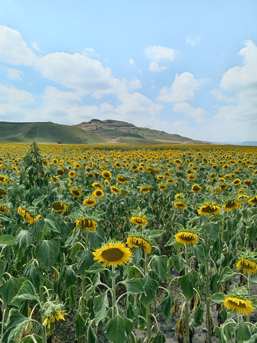 По пути к озерам 