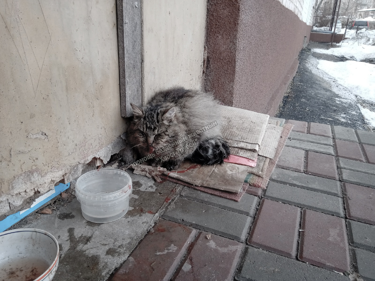 Фото сделали менее контрастным, чтобы дзен не сделал а-та-та.