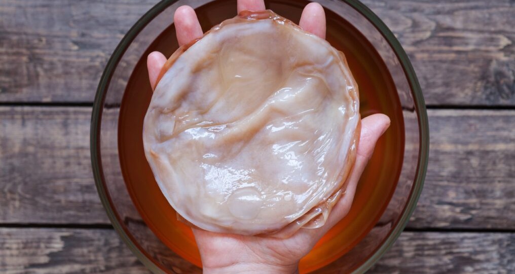 Чайный гриб: природная панацея или просто вкусный напиток?
