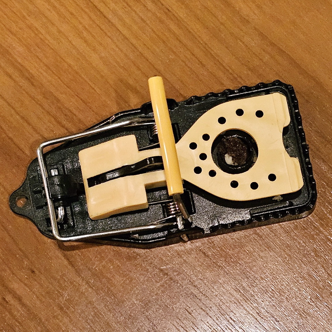 Заряженная мышеловка. Мощная, надежная и эффективная, по утверждению продавцов и отзывам покупателей. Фото из личного архива