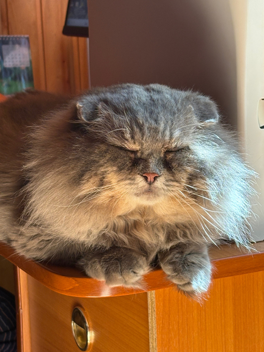 Уставший Филя.