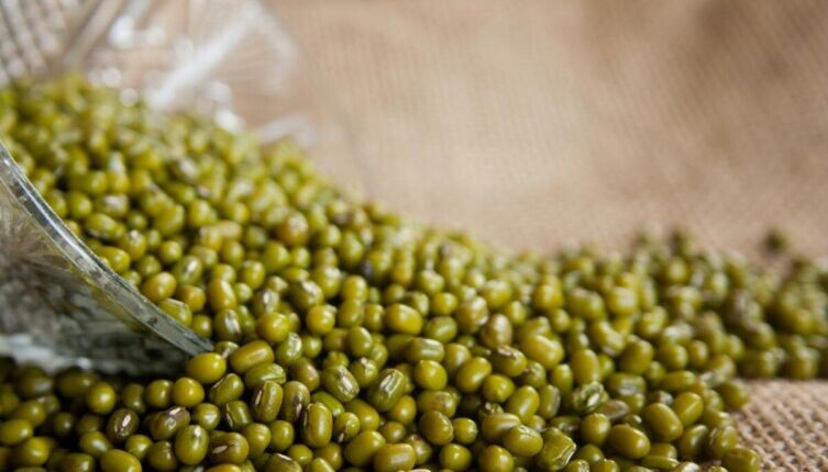     Фото: по лицензии CC0 Pxhere.com