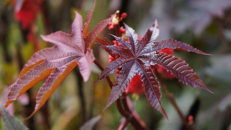     Фото: Murat Ts. on Unsplash