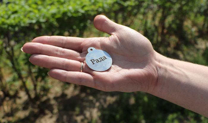 Жетон для собаки с гравировкой клички