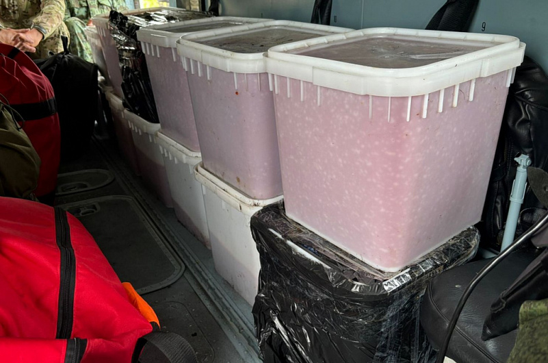 kamchatka.fish.gov.ru