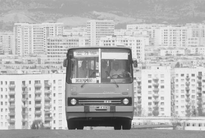 Виктор Цой погиб при столкновении с автобусом «Икарус». Фото © ТАСС / Рухадзе Анатолий