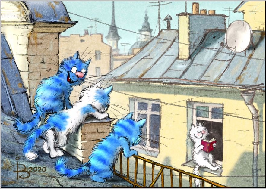 очаровательные коты Рины Зенюк