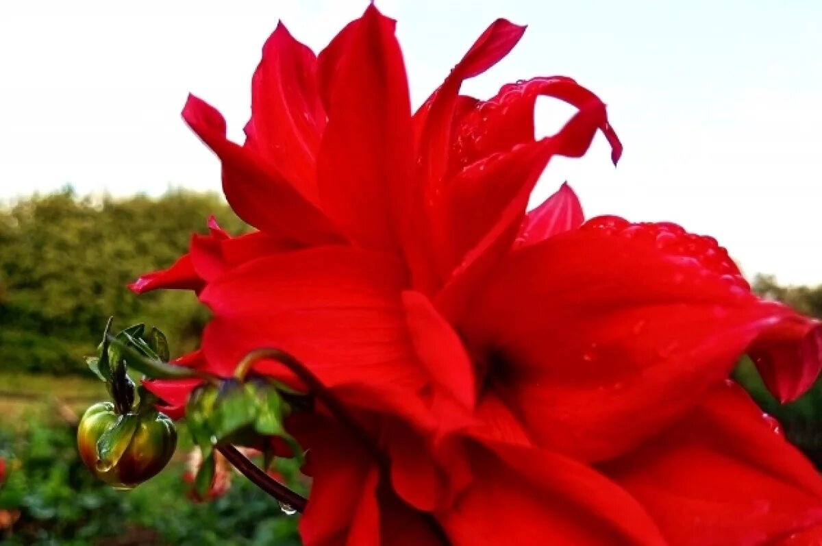    Дождик и ветер: какая будет погода в Хабаровске и крае 15 августа