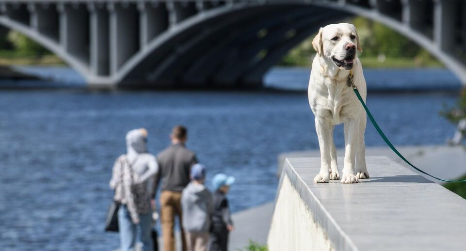    Ilya Moskovets/URA.RU / www.globallookpress.com