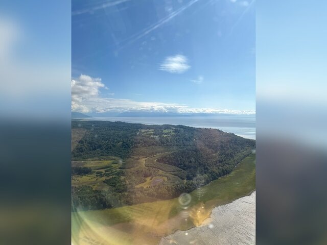    Фото: x.com/kadmitriev