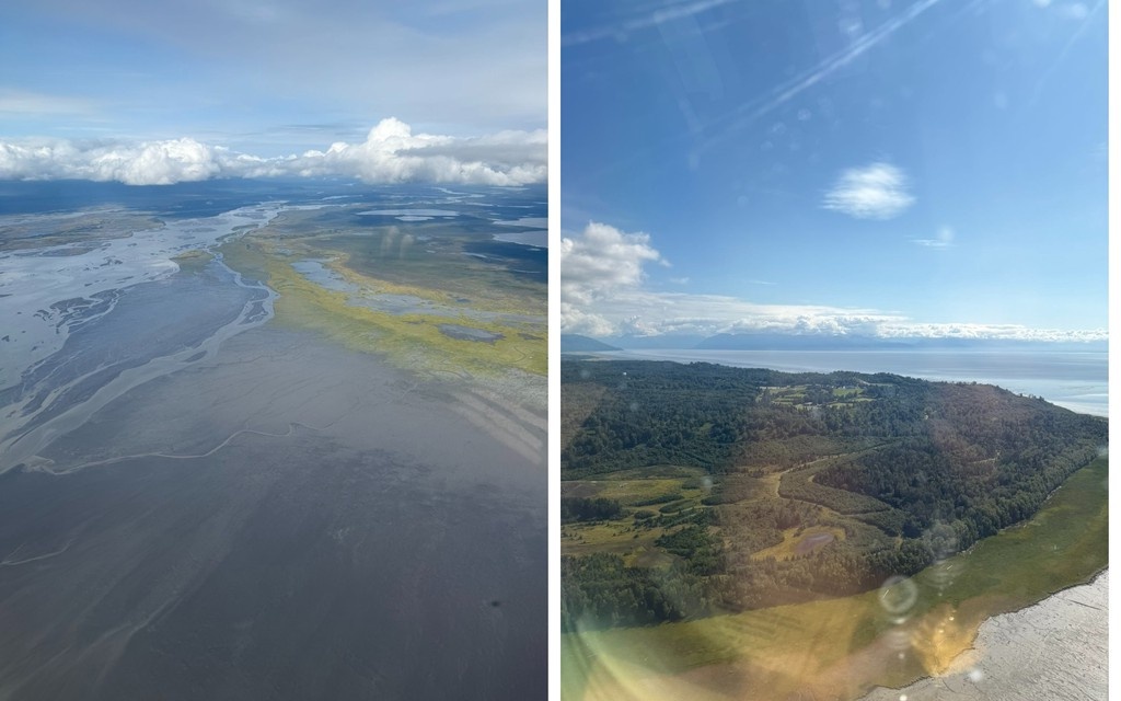    Фото © X.com / Kirill A. Dmitriev