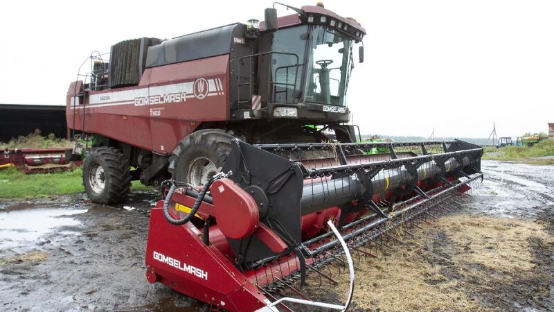     Рапс в полях Анна Зайкова