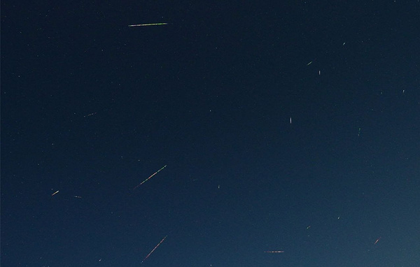 Пресс-служба НГУ