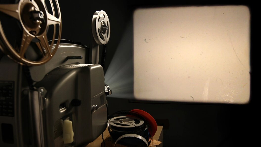    Фото: Noel Powell/shutterstock