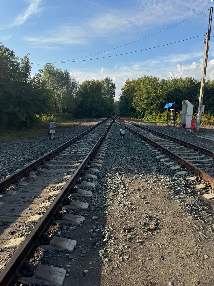 Фото для иллюстрации.