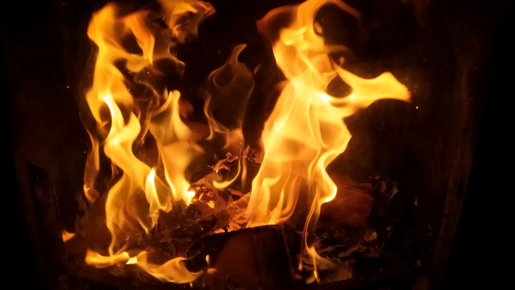    Фото: Maksim Konstantinov/Globallookpress