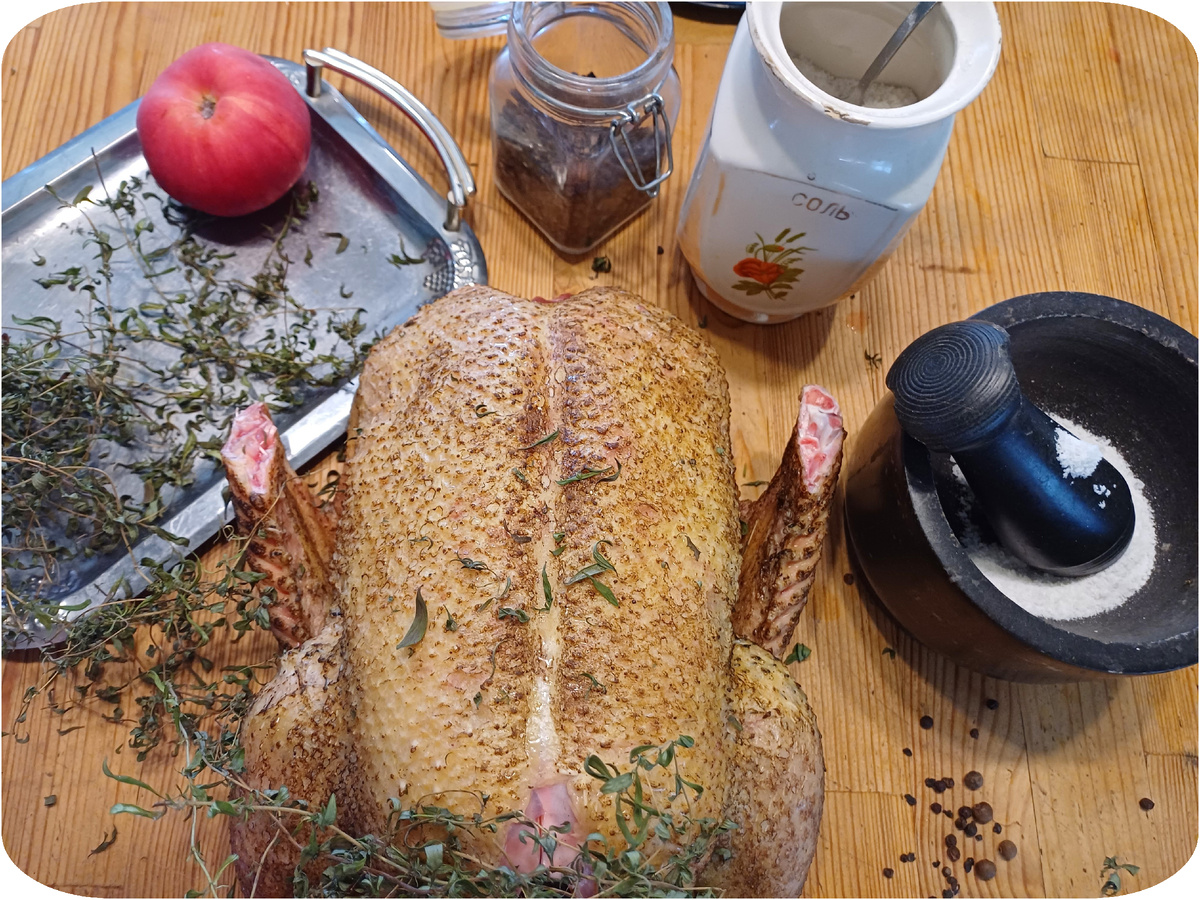 тушка утки перед приготовлением. фото автора