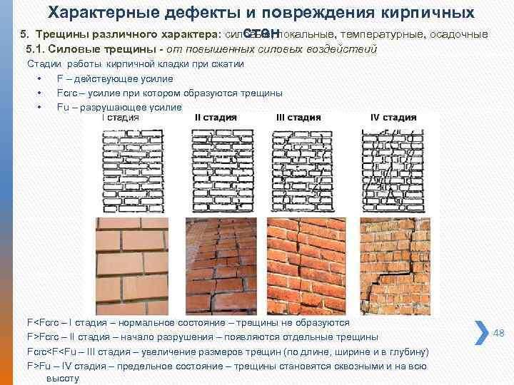 Фото из открытыих источников.