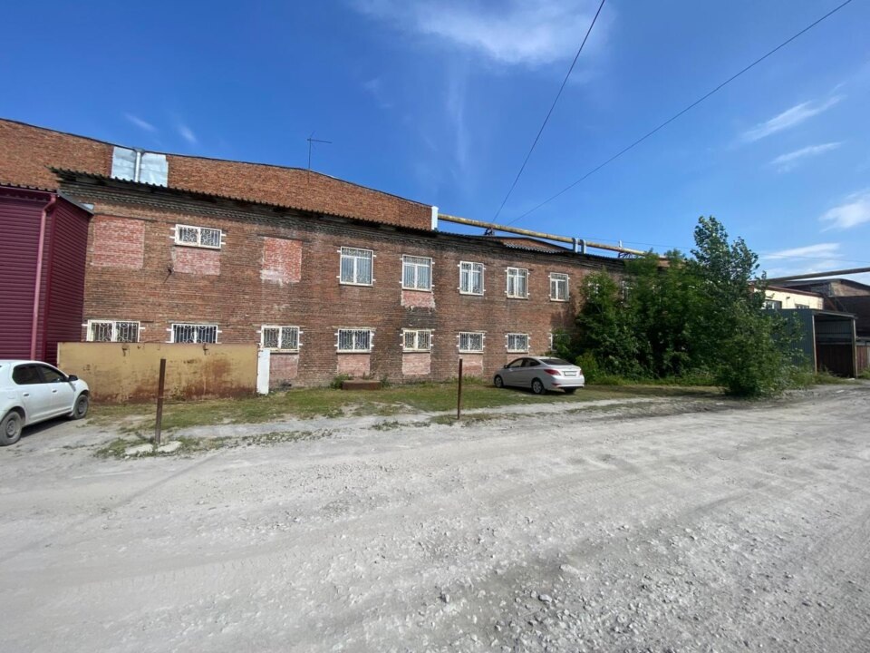    Фото: сервис BicoTender