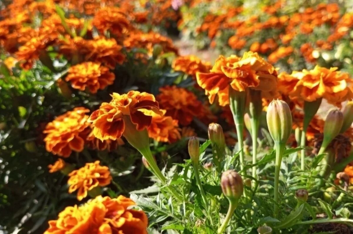    В Свердловской области начинается климатическая осень