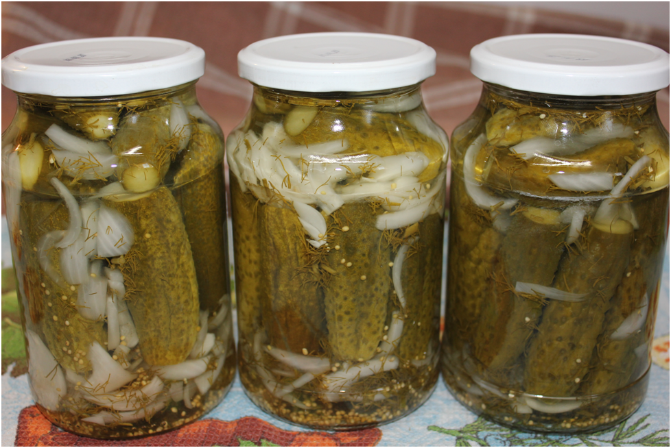 Личное фото автора.