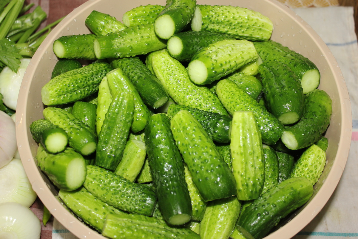 Личное фото автора.