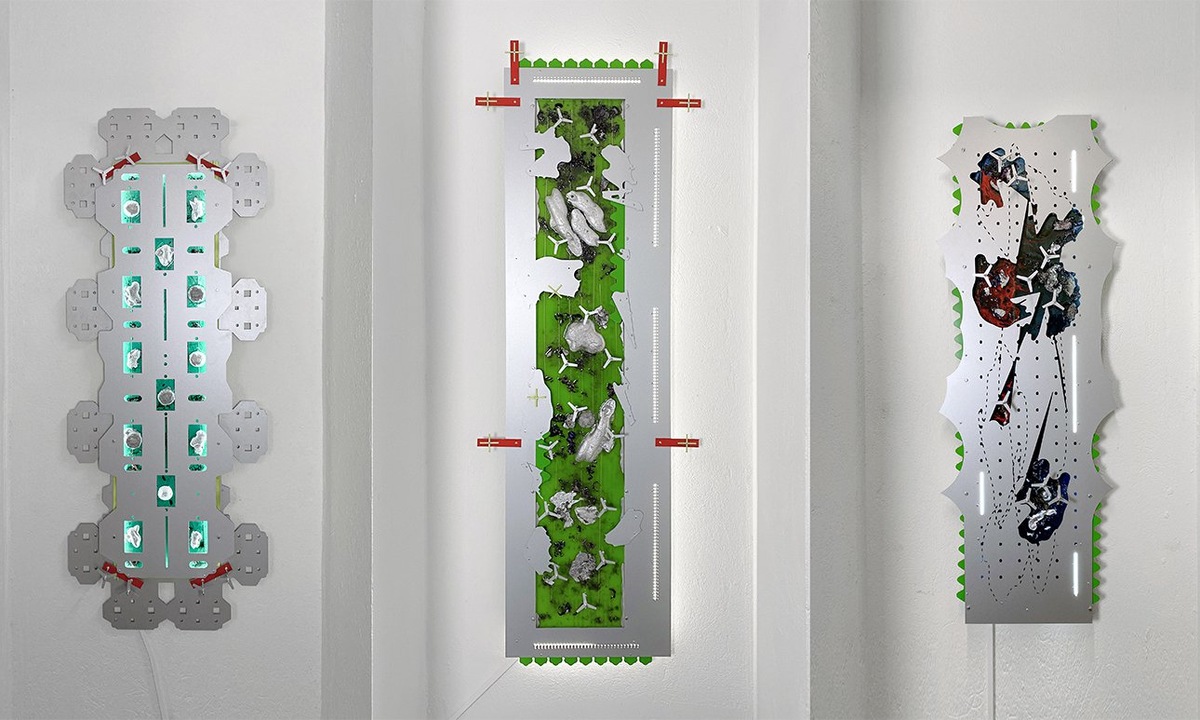 Мария Федорова. Из проекта «Растерянный хищник». 2024. Фото: Биеннале экологического искусства