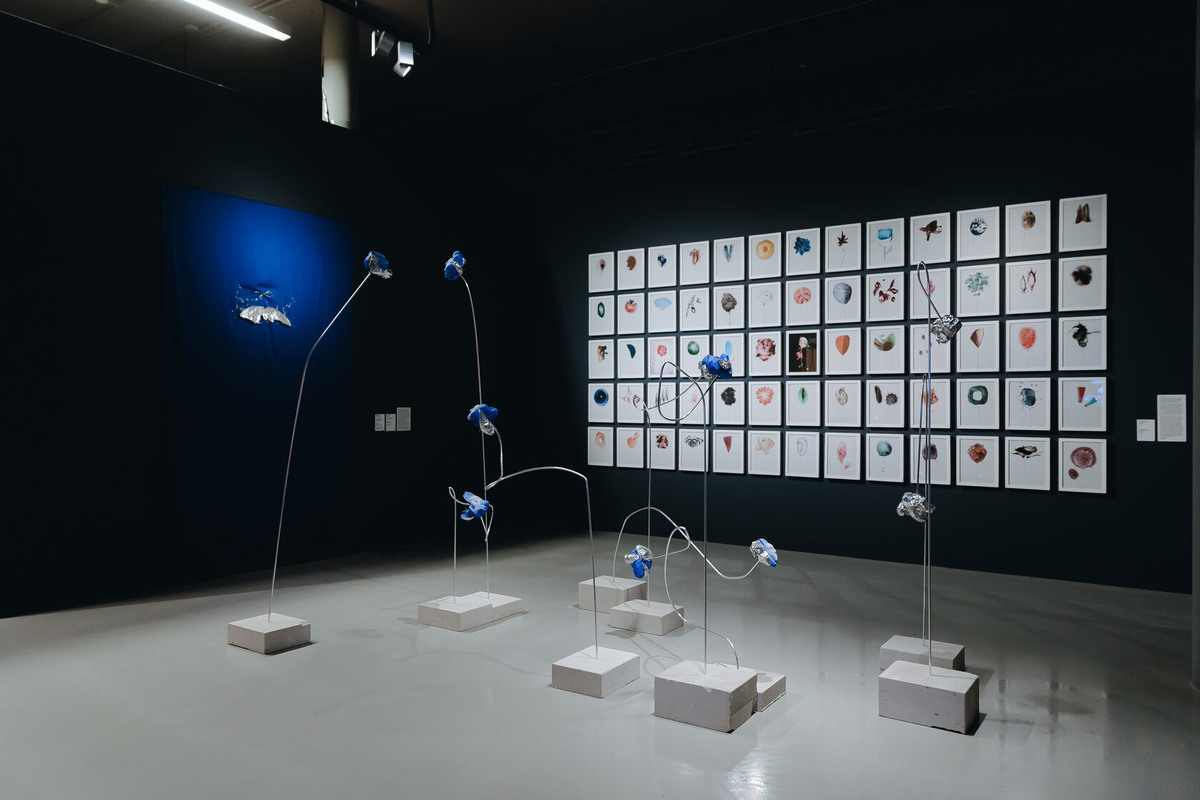 Источник: https://ecobiennale.ru/zemnoe-planetarnoe