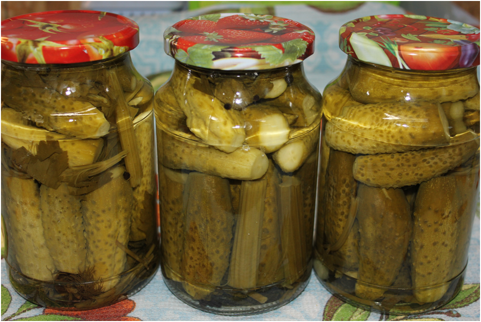 Личное фото автора.