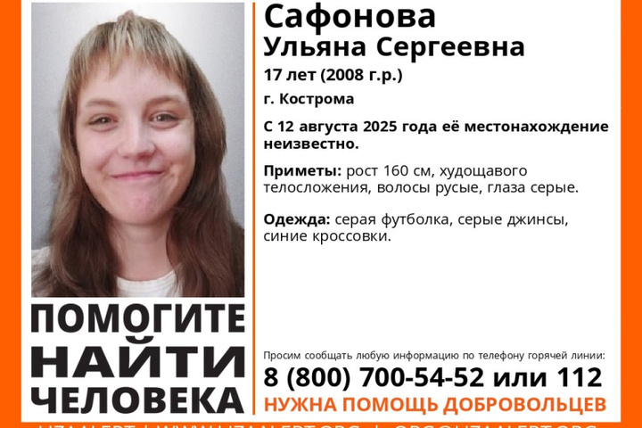 Волонтеры из «Лиза Алерт» просят костромичей о помощи в поисках 17-летней костромички