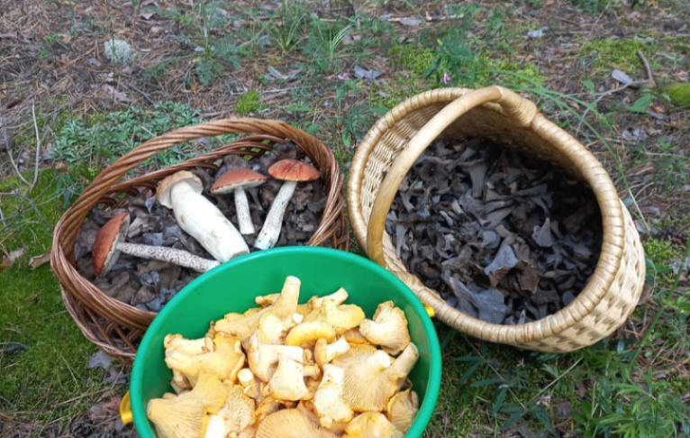    Фото из архива VN.ru