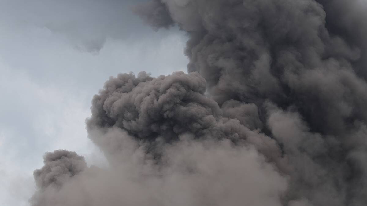    Фото: Shutterstock