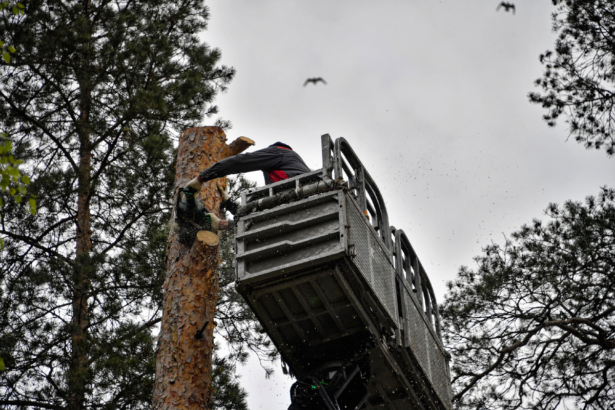 Фото: Иван Макеев.