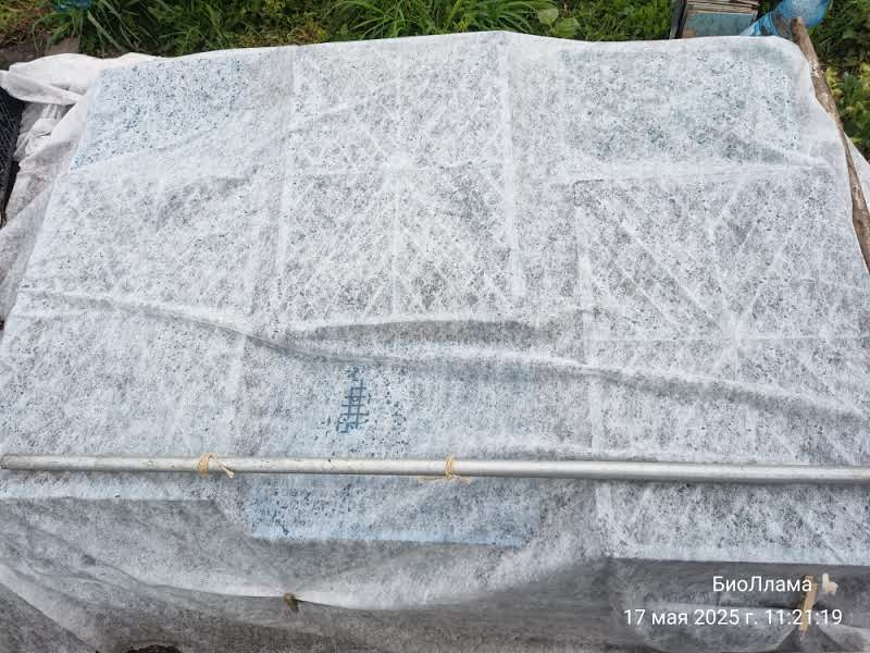 Там всходят корнеплоды