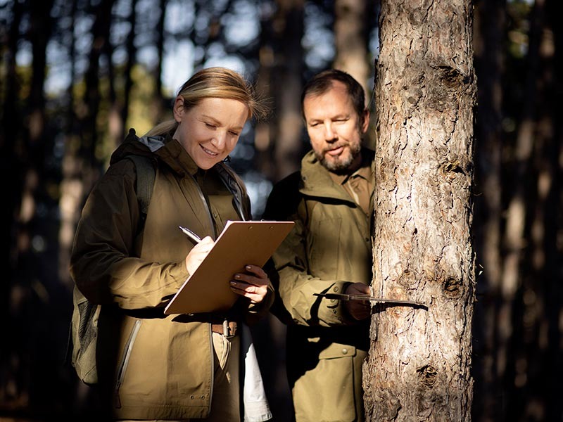 Фото: ru.freepik.com