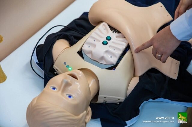    Фото: пресс-служба администрации Владивостока