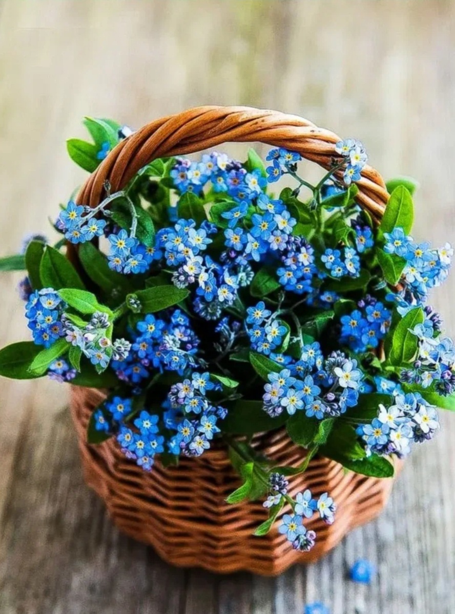 Фото с просторов интернета